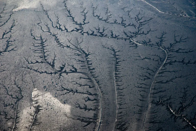 Carved Into Submission: The Lasting Ecological Wounds of America's Channelized Rivers