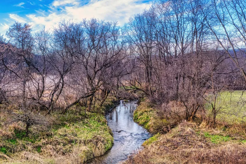 Headwaters First: How America's Smallest Streams Hold the Key to Watershed-Wide Recovery