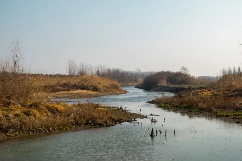 Where the River Runs, Work Follows: How Restoration Projects Are Rebuilding Rural Economies